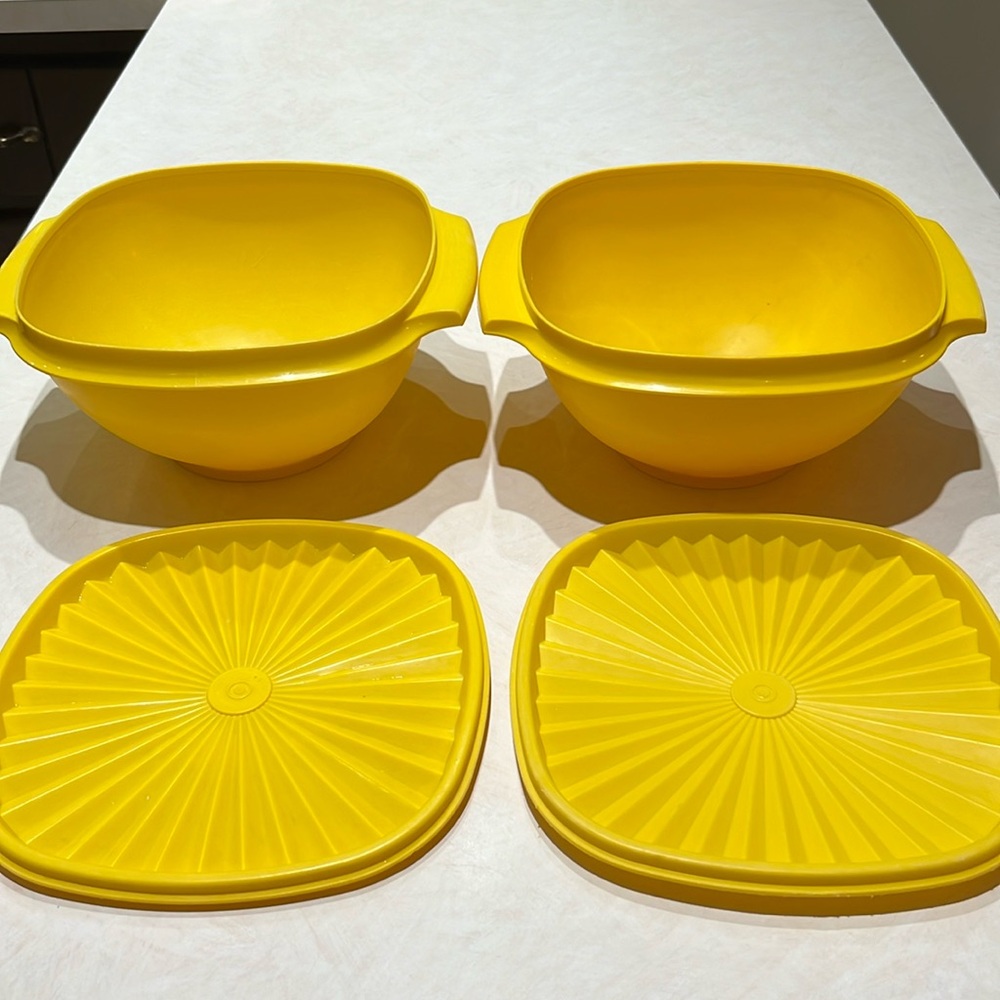 Tupperware Bowls (2) with lids